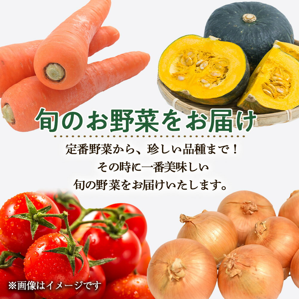 【ふるさと納税】【2026年発送予約】定期便3回 旬の野菜を「年3回」お届け《土居ファーム》 とうもろこし キャベツ トマト じゃがいも 玉ねぎ かぼちゃ にんにく 人参 豆 鷹の爪 ヤーコン やさい 千歳 北海道 北海道ふるさと納税 【北海道千歳市】ギフト ふるさと納税