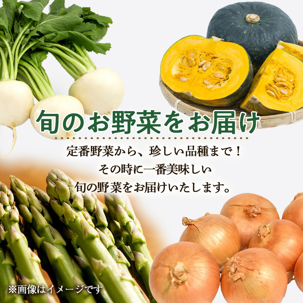 【ふるさと納税】【2026年発送予約】定期便4回 旬の野菜を「年4回」お届け《土居ファーム》 アスパラ カブ ブロッコリー キャベツ とうもろこし じゃがいも 南瓜 ニンニク 人参 玉ねぎ 豆 やさい 千歳 北海道 北海道ふるさと納税 【北海道千歳市】ギフト ふるさと納税