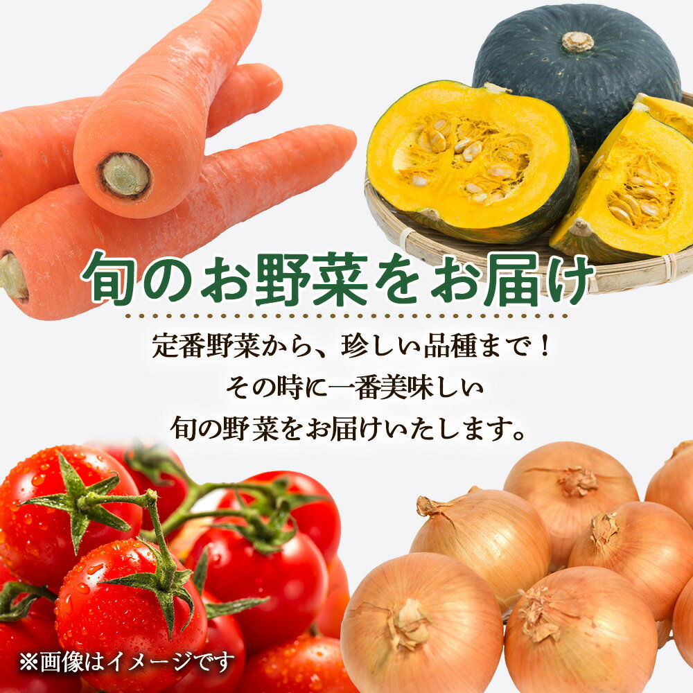 【ふるさと納税】【2026年発送予約】定期便2回 旬の野菜を「年2回」お届け《土居ファーム》 とうもろこし キャベツ トマト 人参 じゃがいも カボチャ 玉ねぎ にんにく 人参 豆 鷹の爪 ヤーコン 旬 千歳 北海道 北海道ふるさと納税 【北海道千歳市】ギフト ふるさと納税
