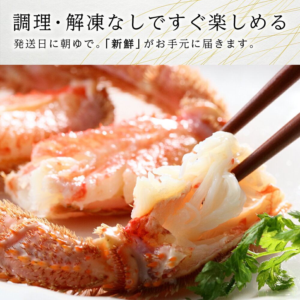【ふるさと納税】送料無料 北海道産【朝ゆで】訳あり毛がに 1.0kg詰 道産品 毛蟹 毛ガニ カニ 蟹 規格外品 不揃い 訳アリ 訳有り 理由アリ B級グルメ