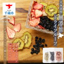 【ふるさと納税】 《無農薬》無添加ドライフルーツ キウイフルーツ、イチゴ、ブルーベリー無添加 ドライフルーツ イチゴ ブルーベリー キウイ キウイフルーツ 苺 ...