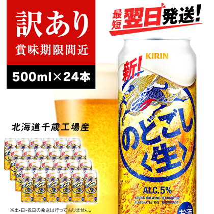 【訳あり】 キリンのどごし＜生＞ ＜北海道千歳工場産＞500ml（24本）北海道 ふるさと納税 ビール お酒 ケース ギフト 酒【北海道千歳市】ビール ギフト のどごし生 麒麟 KIRIN