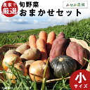 【ふるさと納税】【2025年秋発送】 農家で厳選!旬野菜おまかせセット(小)秋野菜 野菜 詰め合わせ セット じゃがいも かぼちゃ にんじん 玉ねぎ さつまいも...