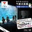 【ふるさと納税】【サケのふるさと 千歳水族館】年間パスポート（大人1枚/Cデザイン）鮭 サケ 千歳市 水族館 年間 パスポート 北海道 水中観察窓 大水槽 観光 北海道ふるさと納税 千歳市 ふるさと納税【北海道千歳市】