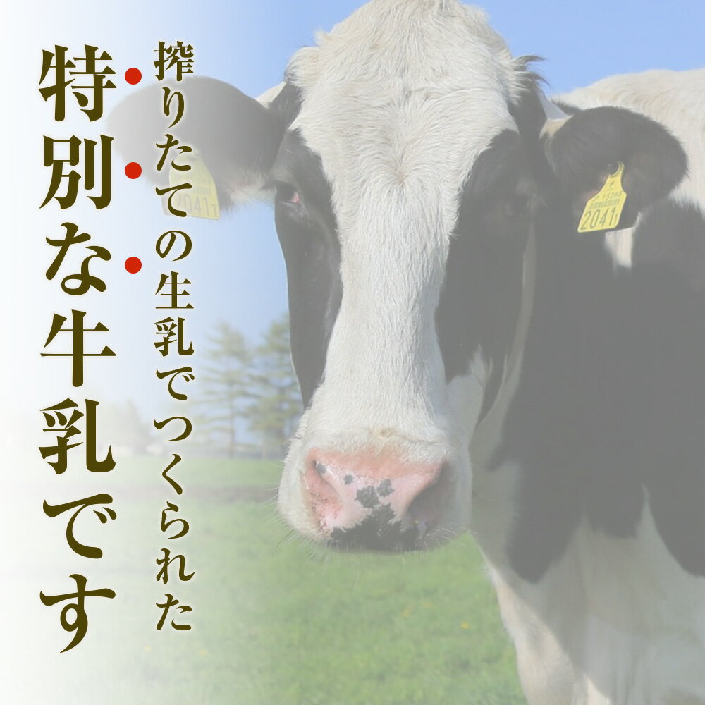 【ふるさと納税】 北海道細澤牧場ノンホモ牛乳 900ml×2本【北海道千歳市】牛乳 低温殺菌 ノンホモ ミルク 北海道牛乳 生乳 千歳市 ふるさと納税 北海道 ギフト ふるさと納税