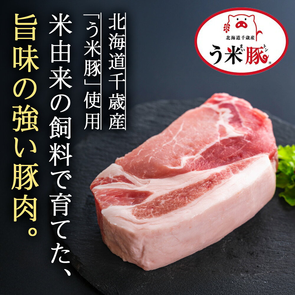 【ふるさと納税】う米豚肉まん×7個セット 1個200g 大きい ボリュームあり 冷凍 個別包装 北海道 千歳豚まん 肉まん 冷凍 レンジ レトルト 大きい 小分け 個別包装 北海道千歳市ギフト ふるさと納税 f012246-chitose-10002211 北海道千歳市 サンプル画像2