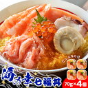 【ふるさと納税】海鮮丼 具 70g×4 7種 4個セット 魚