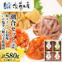 【ふるさと納税】 〈佐藤水産〉潮合セット2.鮭ルイベ 石狩味 塩辛 松前漬 魚貝類 サーモン 数の子 塩辛 鮭 魚貝類 漬魚 いくら 松前漬【北海道千歳市】ギフ...