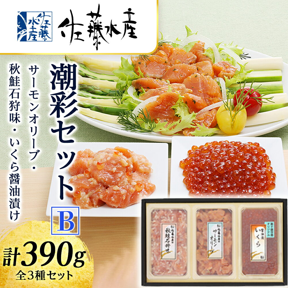 [佐藤水産]潮彩セットB(サーモンオリーブ・石狩味・いくら醤油漬)魚貝類 サーモン 鮭 いくら 魚卵 オリーブ いくら醤油漬 北海道ふるさと納税 千歳市 ふるさと納税[北海道千歳市]ギフト ふるさと納税