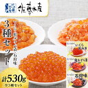 【ふるさと納税】 <佐藤水産>いくらと鮭ルイベ漬・石狩味の3種セット 魚貝類 サーモン 鮭 いくら 魚卵 ルイベ イクラ しょうゆ漬け 北海道ふるさと納税 千歳...
