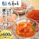 【ふるさと納税】 〈佐藤水産〉潮合セット(3)鮭ルイベ いくら いか塩辛 えび塩辛魚貝類 サーモン えび 塩辛 鮭 イカ 魚貝類 漬魚 いくら 醤油漬け【北海道千歳市】ギフト ふるさと納税