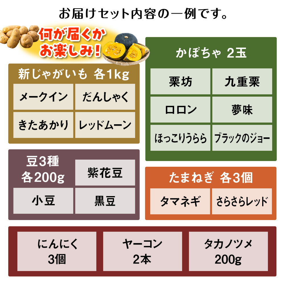 【ふるさと納税】2026年発送 旬の秋野菜詰め合わせ 約8kg《土居ファーム》 野菜 かぼちゃ じゃがいも たまねぎ 南瓜 玉ねぎ セット【北海道千歳市】ギフト ふるさと納税