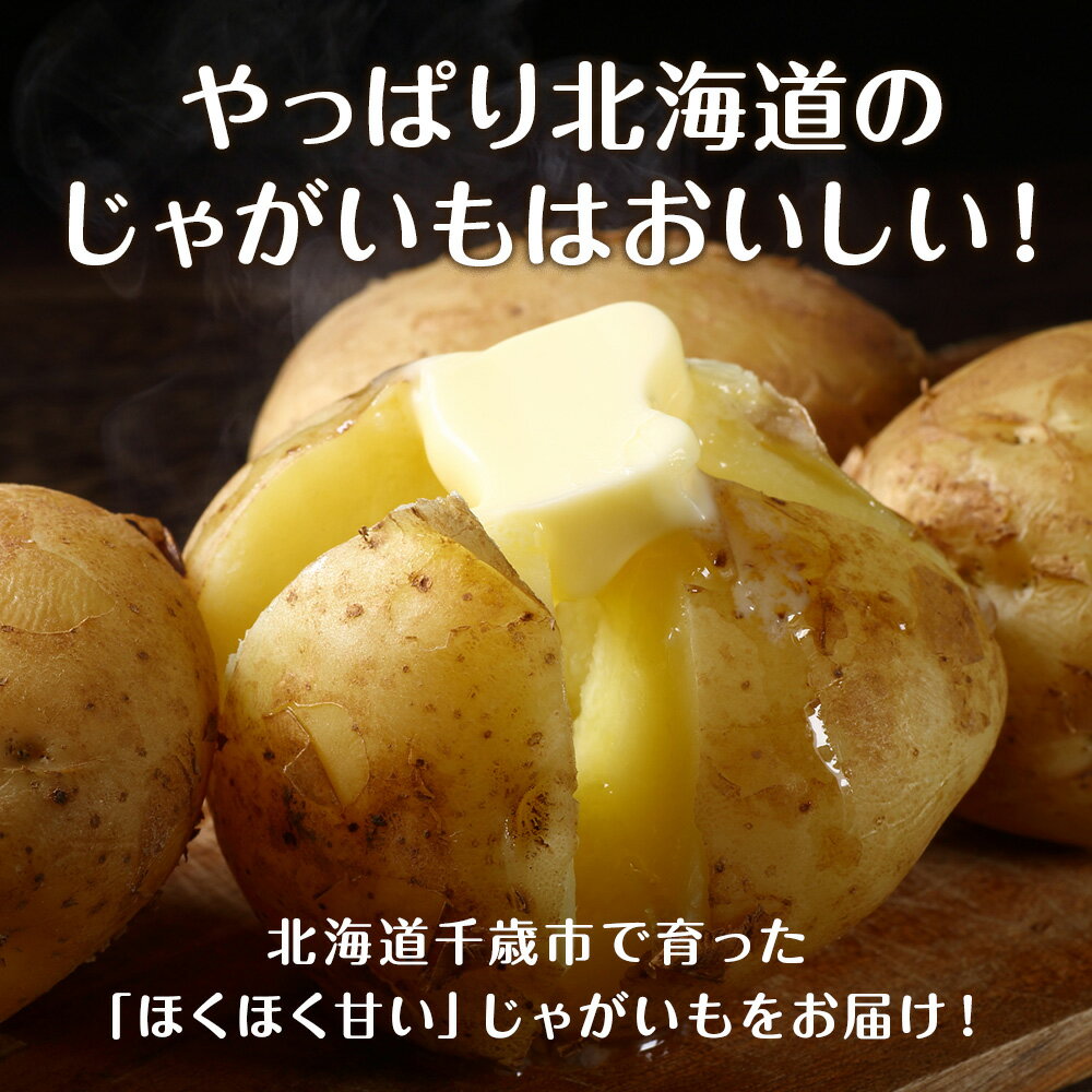 �ڤդ뤵��Ǽ�ǡ�2026ǯȯ�� �ܤν���ڵͤ��碌 ��8kg���ڵ�ե������ ��� ���ܤ��� ���㤬���� ���ޤͤ� � �̤ͤ� ���åȡ��̳�ƻ��лԡۥ��ե� �դ뤵��Ǽ��