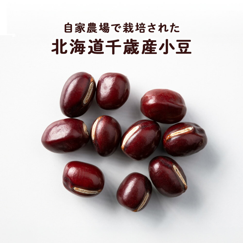 【ふるさと納税】2026年発送 小豆 約2kg《土居ファーム》 豆 野菜 やさい 小豆 あずき 北海道ふるさと納税 千歳市 ふるさと納税【北海道千歳市】ギフト ふるさと納税