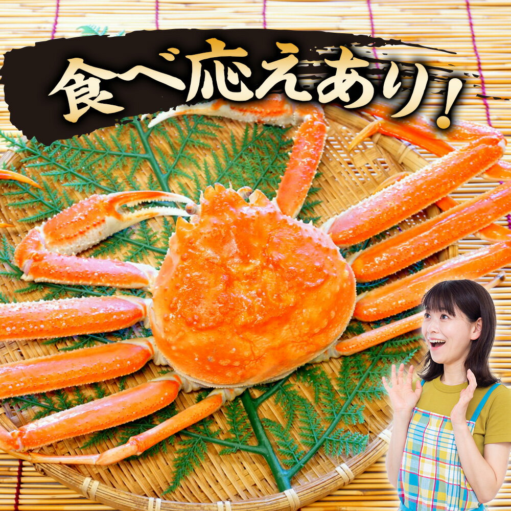 【ふるさと納税】送料無料 北海道産【 朝ゆで 】訳ありオオズワイガニ 選べる800g詰～2kg詰 道産品 オオズワイ蟹 オオズワイカニ おおずわい蟹 規格外品 不揃い 訳アリ 訳有り北海道 ふるさと納税 北海道 千歳市 【北海道千歳市】