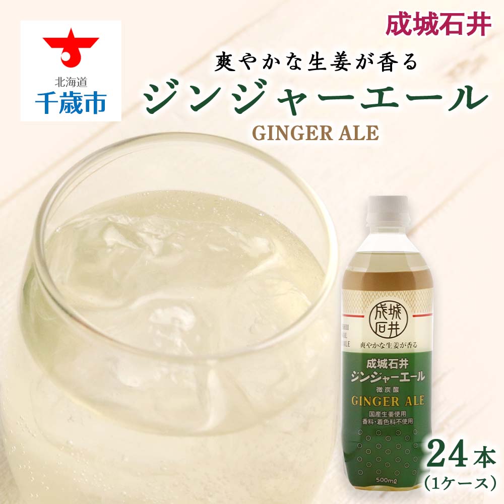 【ふるさと納税】 《成城石井》ジンジャーエール 500ml×24本（1ケース）ジンジャーエール 飲料 炭酸 炭酸飲料 ジンジャー 生姜 ジュース ドリンク 北海道ふるさと納税 千歳市 ふるさと納税【北海道千歳市】ギフト ふるさと納税