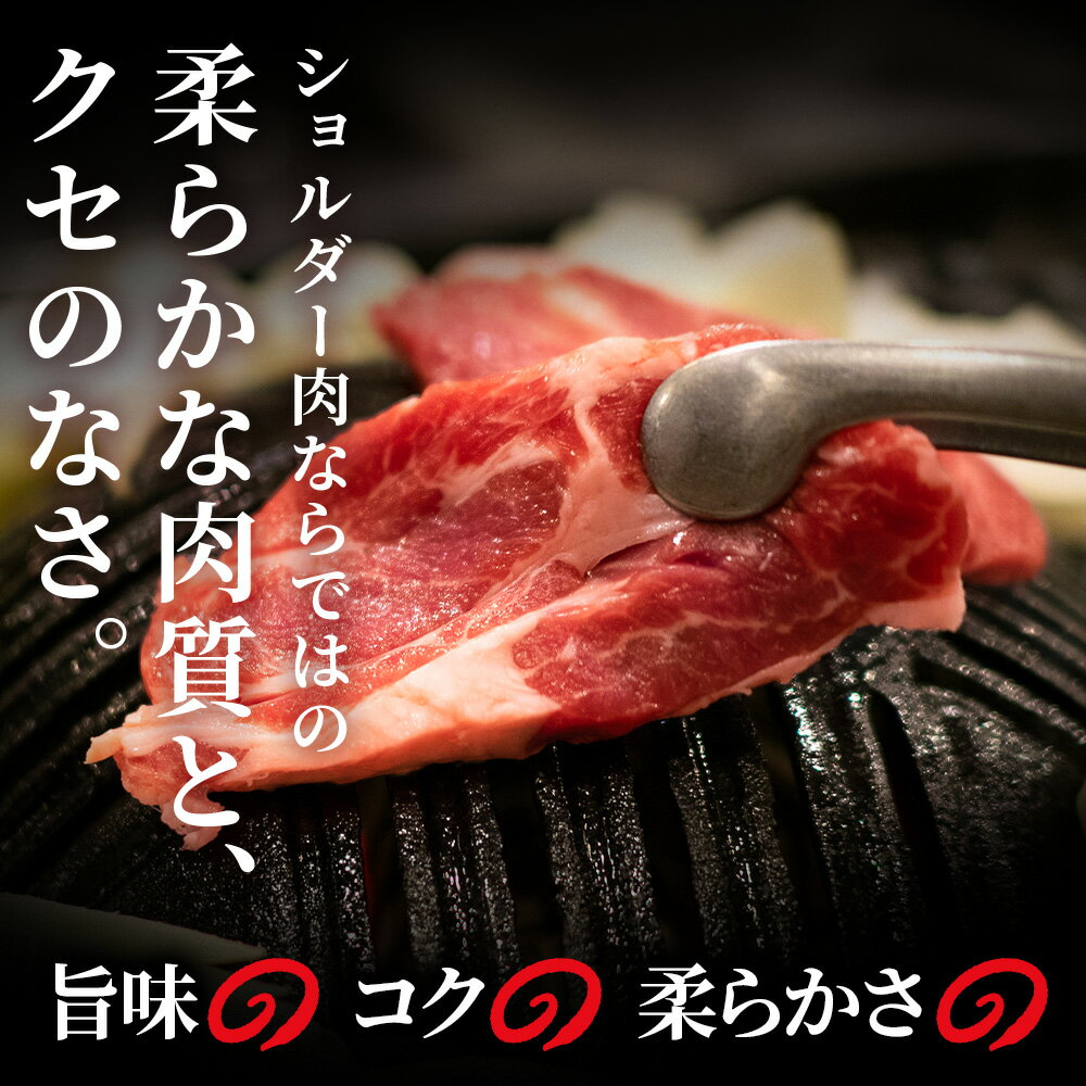 【ふるさと納税】生ラム （冷凍）タレ付 600g 選べる発送月 ＜肉の山本＞ ラム肉 羊肉 ジンギスカン タレ ラム 鍋 【北海道千歳市】ギフト ふるさと納税