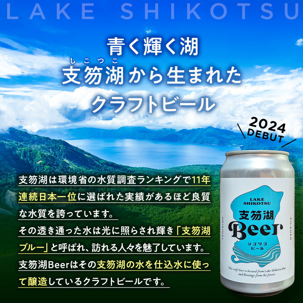 【ふるさと納税】支笏湖Beer 缶 350ml 3種 6本 ビール クラフトビール北海道 ふるさと納税 クラフトビール お酒 ギフト 酒【北海道千歳市】ビール ギフト ふるさと納税
