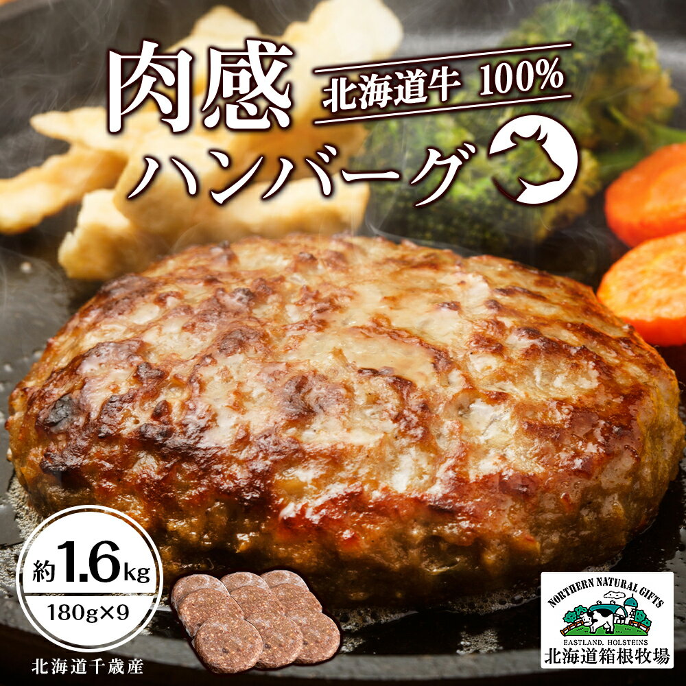 牧場手作り★オリジナルハンバーグセット〈箱根牧場〉加工肉 惣菜 肉料理 ビーフハンバーグ ハンバーグ 北海道ふるさと納税 千歳市 ふるさと納税ギフト ふるさと納税