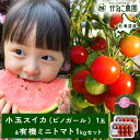 【ふるさと納税】【2025年8月中旬より発送】小玉スイカ1玉&有機ミニトマト500g×2【かねこ農園】北海道ふるさと納税 野菜 西瓜 すいか マイクロシード ト...