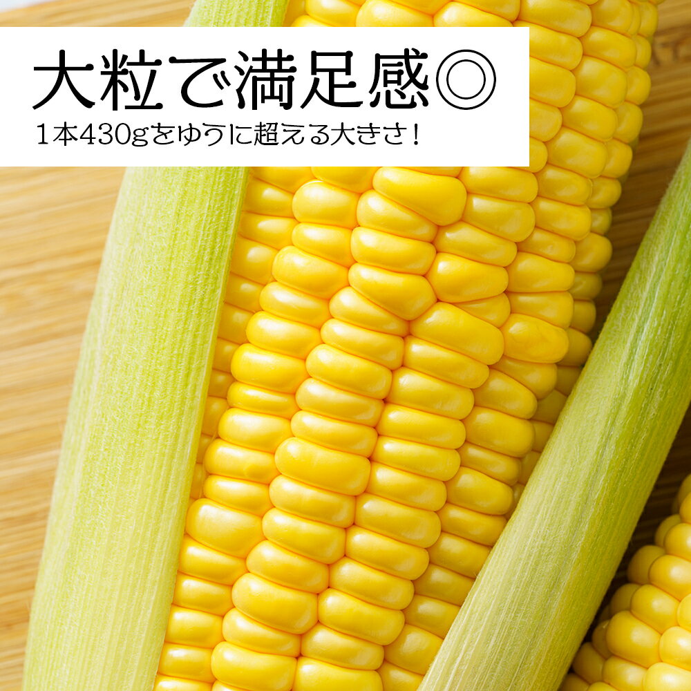 【ふるさと納税】【先行予約】北海道 千歳産 とうもろこし 430g以上 18本 恵味スター 野菜 トウモロコシ 甘い 旬 夏 BBQ ＜ファーム安澤＞ 野菜 とうもろこし 甘い とうきび 北海道産 恵味スター 大粒【北海道千歳市】ギフト ふるさと納税