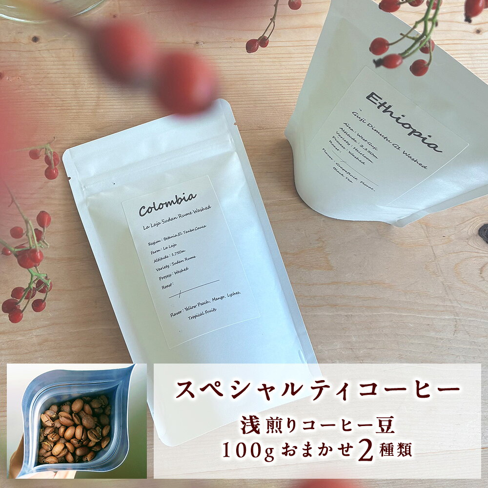 【ふるさと納税】スペシャルティコーヒー 浅煎り （コーヒー豆100g×2種類）豆のまま コーヒー ロースト 珈琲 コーヒー 浅煎 シングルオリジン おまかせ 飲み比べ コーヒー 北海道 千歳 北海道ふるさと納税 千歳市 ふるさと納税【北海道千歳市】