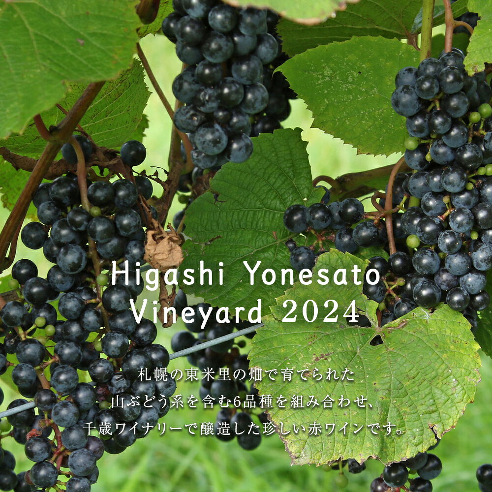 【ふるさと納税】東米里ヴィンヤード2024 1本ワイン 赤 赤ワイン 酒 北海道ふるさと納税 千歳市 ふるさと納税【北海道千歳市】ギフト ふるさと納税 f012246-chitose-10002775 北海道千歳市 サンプル画像2