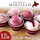 【ふるさと納税】 アイス ギフト ブルーベリー 4種 各3個 12個 詰め合わせ セット ジェラート 【ミルティーロ】お取り寄せ お菓子 ジェラート スイーツ ...