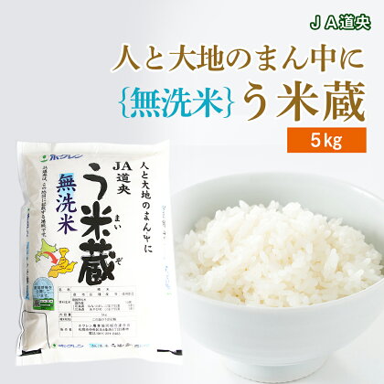 【無洗米】北海道産 う米蔵5kg【JA道央】無洗米 米 ブレンド米 ななつぼし あやひめ ブレンド う米蔵 北海道米 北海道産 北海道千歳市ギフト ふるさと納税