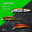 【ふるさと納税】大規模渓流向け釣りルアー「千歳市千歳川Cセット」ルアー 釣り具 スポーツ 釣り 北海道ふるさと納税 ふるさと納税 北海道 千歳市 【北海道千歳市...