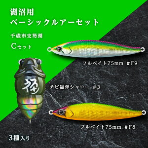 【ふるさと納税】千歳市支笏湖Cセット(湖沼用ベーシックルアーセット)ルアー 釣り具 スポーツ 釣り 北海道ふるさと納税 ふるさと納税 北海道 千歳市 【北海道千歳市】ギフト ふるさと納税
