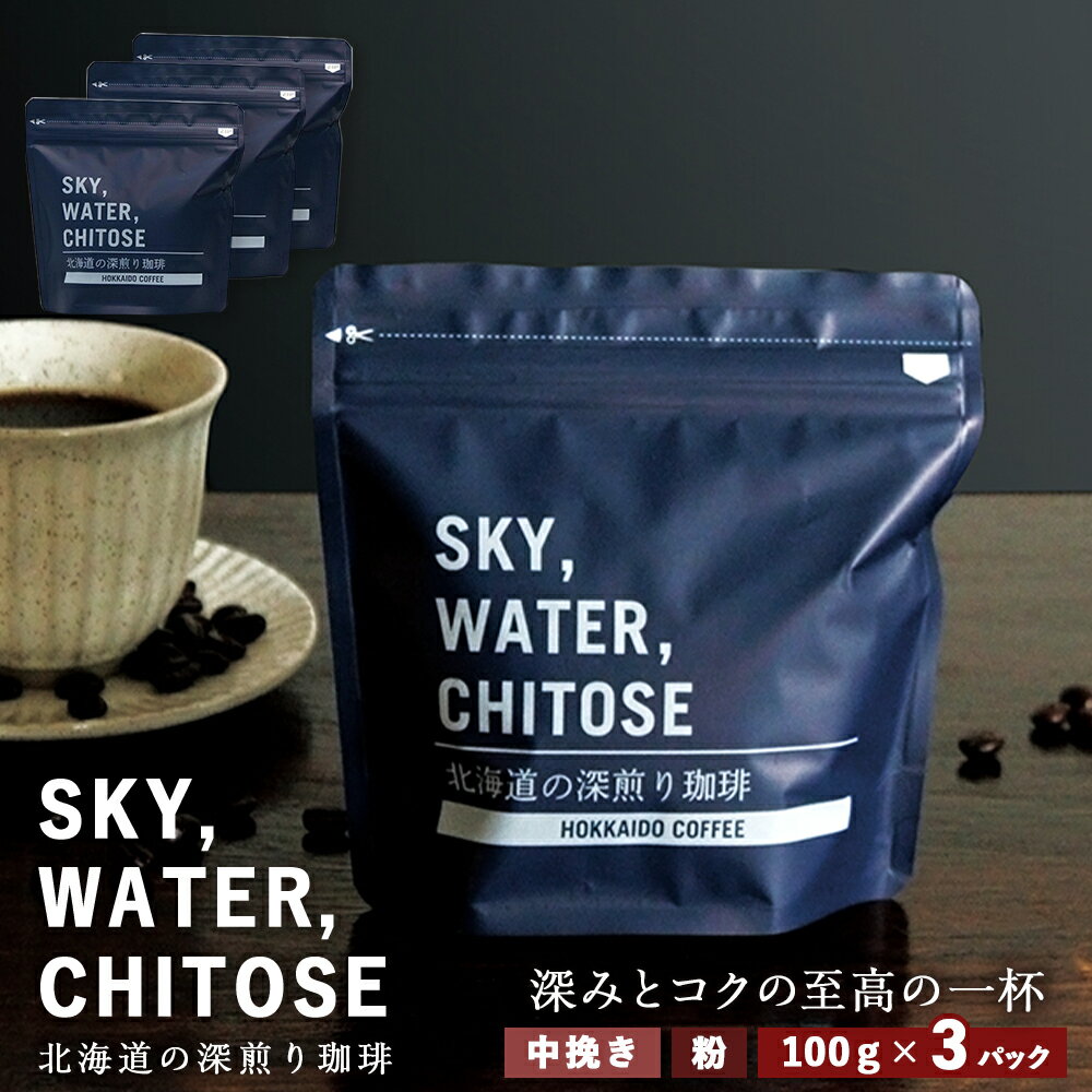 4位! 口コミ数「0件」評価「0」SKY,WATER,CHITOSE 北海道の深煎り珈琲(100g)×3パックレギュラーコーヒー ブレンドコーヒー 深煎り 珈琲 コーヒー イ･･･ 