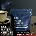 SKY,WATER,CHITOSE 北海道の深煎り珈琲(100g)×5パックレギュラーコーヒー ブレンドコーヒー 深煎り 珈琲 コーヒー インスタントコーヒー ...