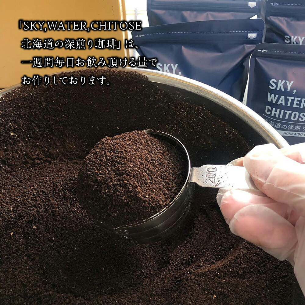 【ふるさと納税】SKY,WATER,CHITOSE 北海道の深煎り珈琲(100g)×5パックレギュラーコーヒー ブレンドコーヒー 深煎り 珈琲 コーヒー インスタントコーヒー 北海道 千歳 北海道ふるさと納税 千歳市 ふるさと納税【北海道千歳市】