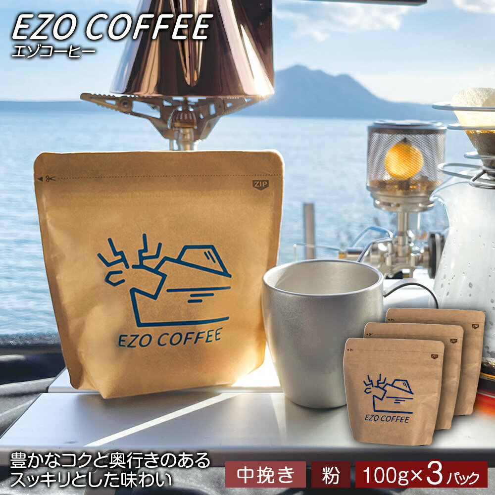 EZO COFFEE エゾコーヒー(100g)×3パックレギュラーコーヒー シティロースト 珈琲 コーヒー インスタントコーヒー 北海道 千歳 北海道ふるさと納税 千歳市 ふるさと納税[北海道千歳市]ギフト ふるさと納税