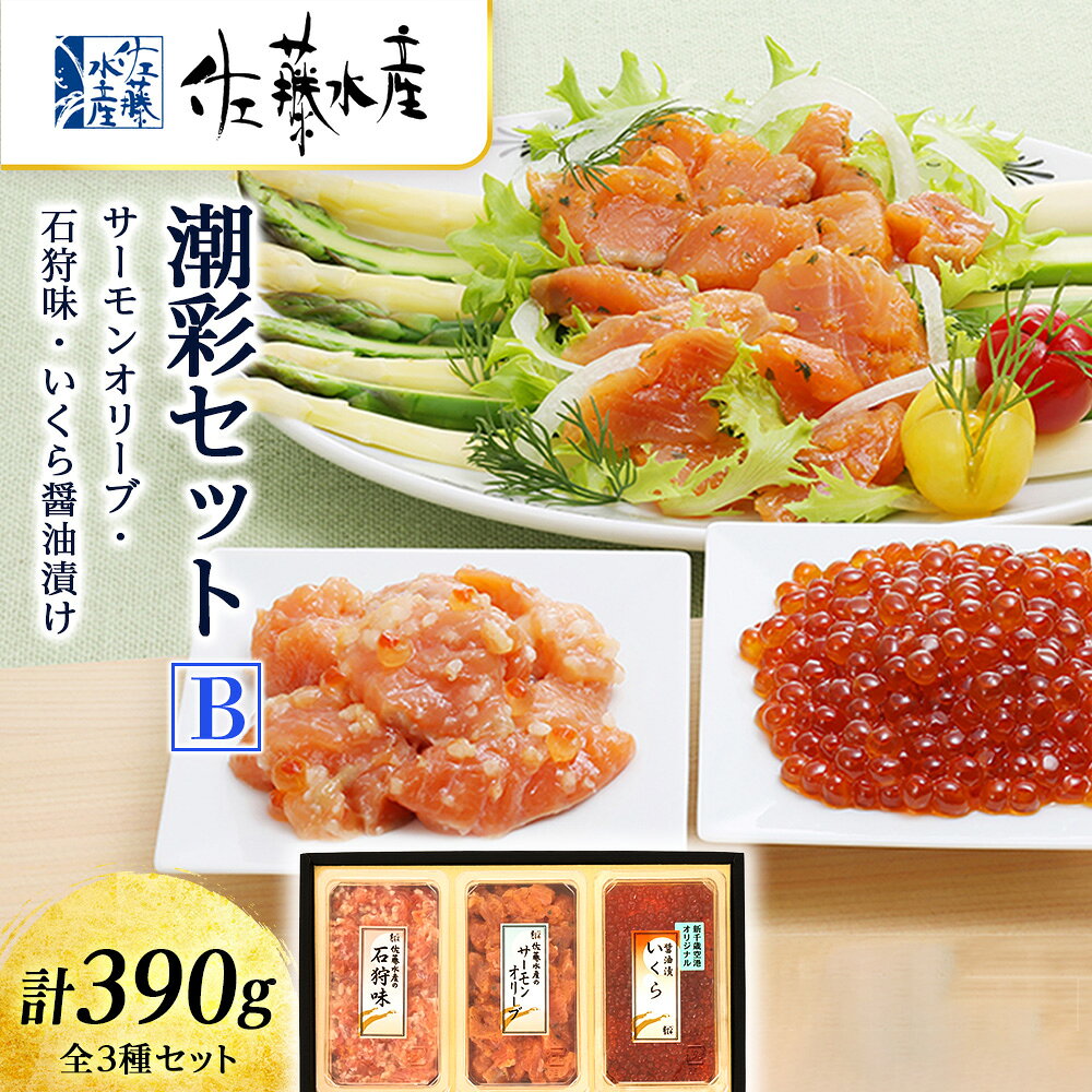 佐藤水産 潮彩セットA サーモンオリーブ