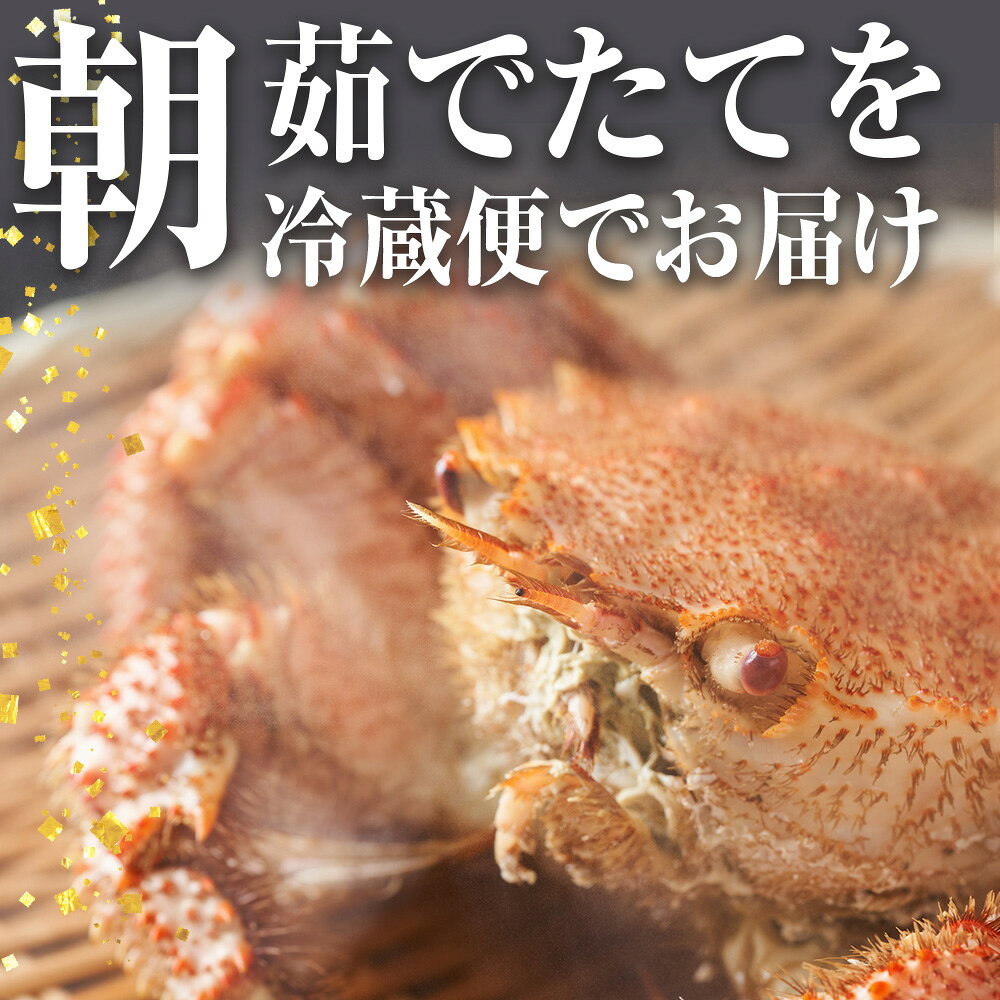 【ふるさと納税】ボイル毛ガニ 500g ＜かに善＞北海道ふるさと納税 海鮮 ふるさと納税海鮮 北海道 海鮮 千歳市 グルメ お取り寄せ 朝ゆで 姿 冷蔵 かに 蟹 カニ ガニ 毛がに 毛ガニ 毛蟹 北海道【北海道千歳市】ギフト ふるさと納税 おせち f012246-chitose-10002654 北海道千歳市 サンプル画像2