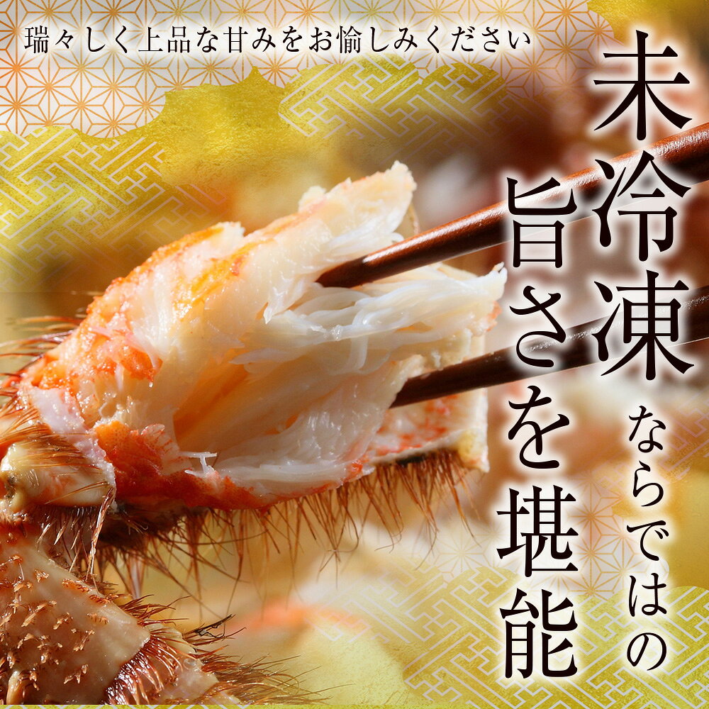 【ふるさと納税】ボイル毛ガニ 500g ＜かに善＞北海道ふるさと納税 海鮮 ふるさと納税海鮮 北海道 海鮮 千歳市 グルメ お取り寄せ 朝ゆで 姿 冷蔵 かに 蟹 カニ ガニ 毛がに 毛ガニ 毛蟹 北海道【北海道千歳市】ギフト ふるさと納税 おせち f012246-chitose-10002654 北海道千歳市 サンプル画像3