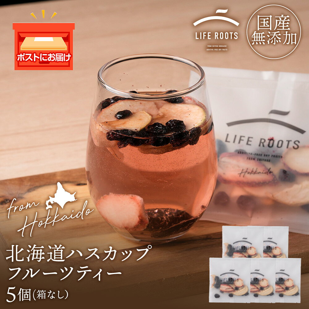 【ふるさと納税】北海道産ハスカップフルーツティー5個セットお茶 フルーツ 無添加 果物 千歳 北海道 ハスカップ リンゴ プルーン イチゴ フルーツ セット ドライフルーツ【北海道千歳市】ギフト ふるさと納税