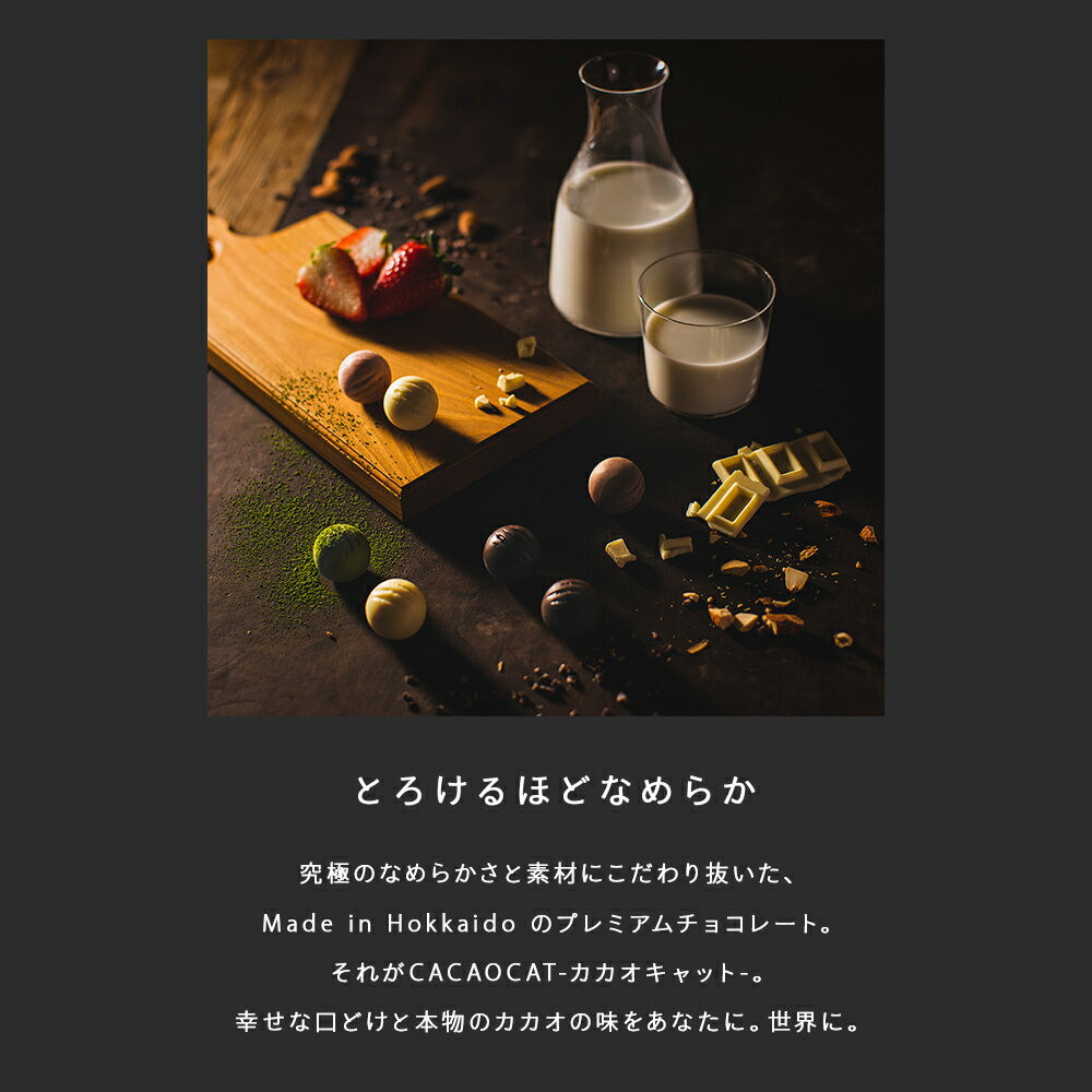 【ふるさと納税】 CACAOCAT黒猫ポーチ・マグカップセットチョコレート チョコ お菓子 スイーツ セット ミックス ポーチ マグカップ 北海道ふるさと納税 ふるさと納税 北海道 千歳市 【北海道千歳市】ギフト ふるさと納税