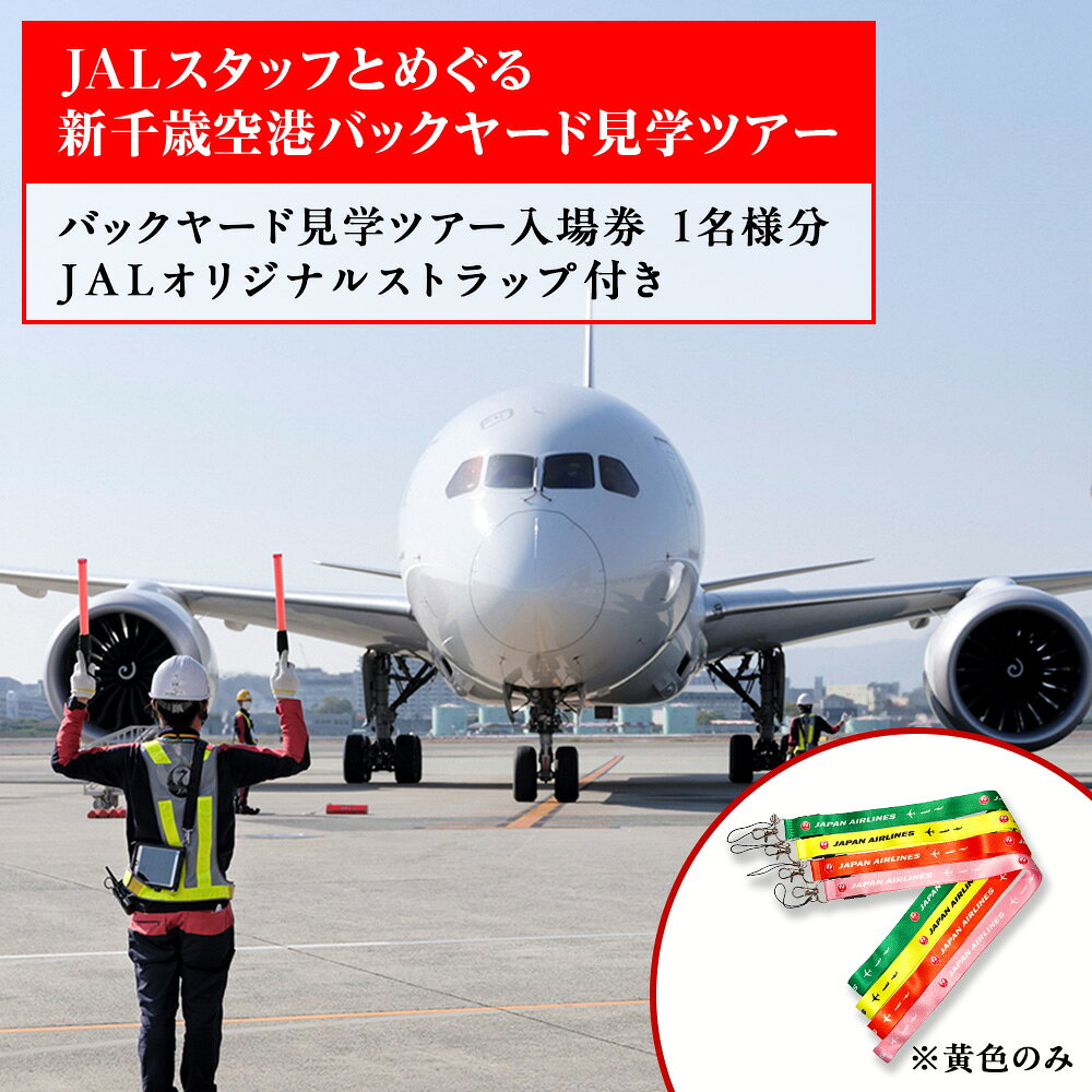 【ふるさと納税】 JALスタッフとめぐる新千歳空港バックヤード見学ツアー北海道ふるさと納税 北海道 千歳市 体験 チケット 空港 見学 ツアー バックヤード JAL 【北海道千歳市】ギフト ふるさと納税