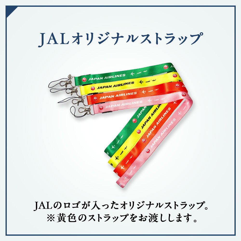 【ふるさと納税】 JALスタッフとめぐる新千歳空港バックヤード見学ツアー北海道ふるさと納税 北海道 千歳市 体験 チケット 空港 見学 ツアー バックヤード JAL 【北海道千歳市】ギフト ふるさと納税 f012246-chitose-10001913 北海道千歳市 サンプル画像3