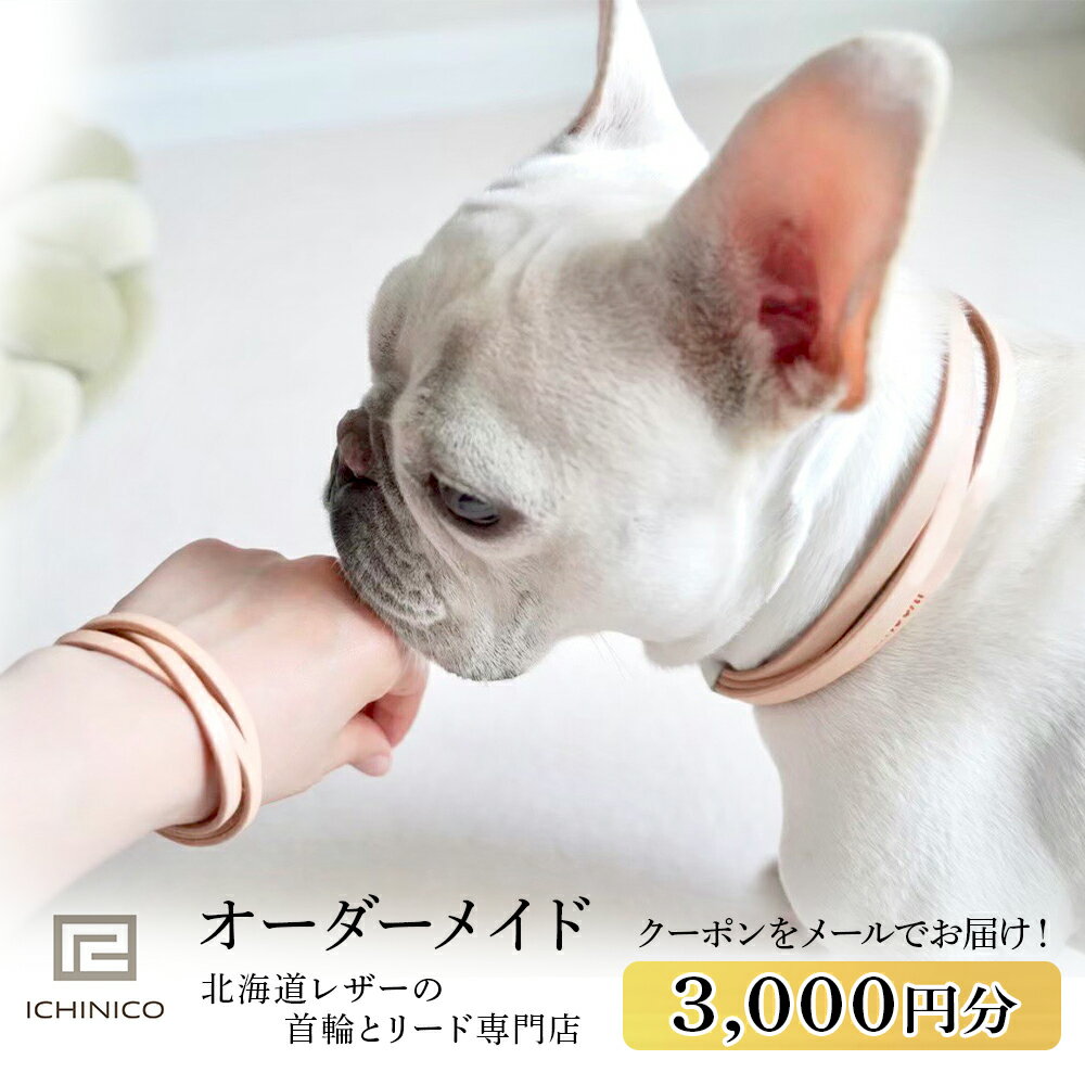 ICHINICOオンラインショップ お仕立て券3,000円分ペット 本革 首輪 ショルダーリード 迷子札チョーカー 犬 猫 オーダーメイド 迷子札 名前入り 刻印 イチニコ 北海道ふるさと納税 千歳市 ふるさと納税[北海道千歳市]ギフト ふるさと納税