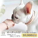【ふるさと納税】ICHINICOオンラインショップ お仕立て券10,000円分ペット 本革 首輪 ショルダーリード 迷子札チョーカー 犬 猫 オーダーメイド 迷...