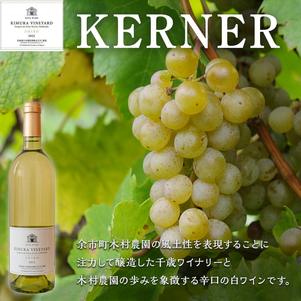 【ふるさと納税】【日本ワインコンクール2024 銀賞】KITA WINE KIMURA VINEYARD SHIRO 2022 ×2本 ワイン 白 白ワイン 辛口 酒 ギフト 千歳 北海道北海道ふるさと納税 千歳市 ふるさと納税【北海道千歳市】ギフト ふるさと納税