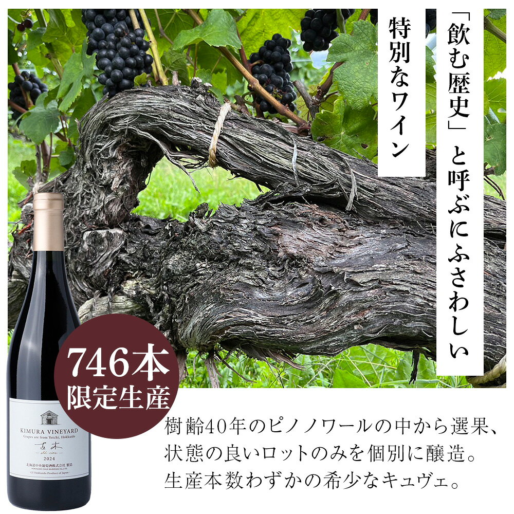 【ふるさと納税】【数量限定】キムラヴィンヤード古木2024 1本 ワイン 赤 赤ワイン ミディアムボディ 酒 ギフト 千歳 北海道北海道ふるさと納税 千歳市 ふるさと納税【北海道千歳市】ギフト ふるさと納税