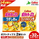 【ふるさと納税】カルビーポテトチップス 2種セット うすしお・コンソメパンチ 各8袋 《北海道工場製造》 スナック お菓子 北海道 千歳 ポテチ ポテトチップス 北海道ふるさと納税 千歳市 ふるさと納税【北海道千歳市】 ギフト ふるさと納税