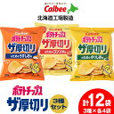 【ふるさと納税】ポテトチップスザ厚切りのための 3種セット うすしお味4袋 コンソメ4袋 のり塩味4袋 合計12袋 1箱 スナック お菓子 北海道 千歳 ポテチ ポテトチップス 北海道ふるさと納税 千歳市 ふるさと納税【北海道千歳市】 ギフト ふるさと納税