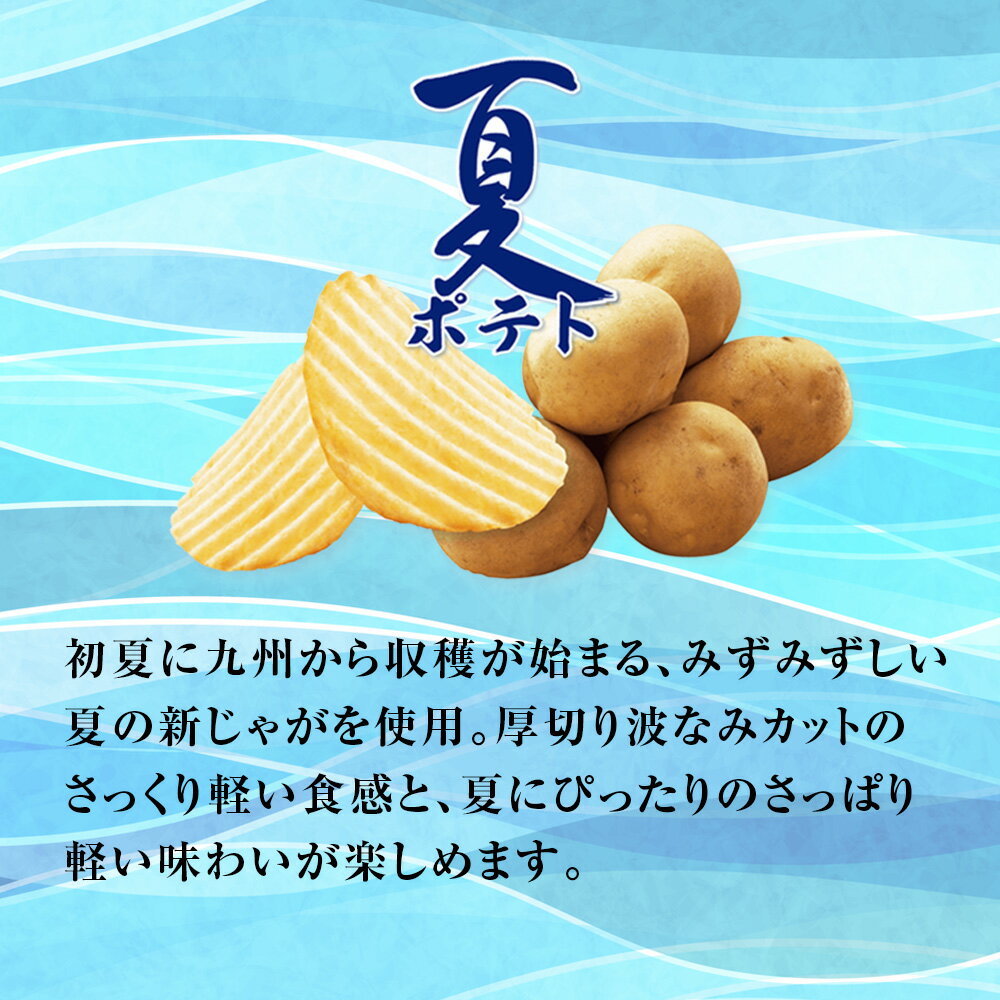 【ふるさと納税】【訳あり】夏ポテト食べ比べ2種セット スナック お菓子 北海道 千歳 ポテチ ポテトチップス じゃがいも感 スナック菓子 じゃがいも 北海道ふるさと納税 千歳市 ふるさと納税【北海道千歳市】ギフト ふるさと納税