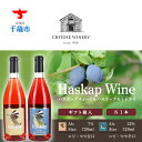 【ふるさと納税】 千歳ワイナリー ハスカップスイート720ml×1本&ハスカップセミドライ720ml×1本<ギフト箱入> お酒 ワイン お酒 ワインセット【北海道千歳市】ギフト ふるさと納税 夏ギフト クリスマス
